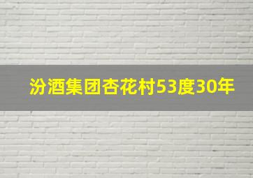 汾酒集团杏花村53度30年