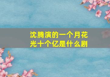 沈腾演的一个月花光十个亿是什么剧