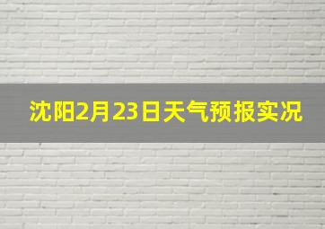 沈阳2月23日天气预报实况