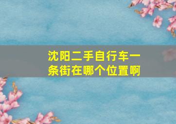 沈阳二手自行车一条街在哪个位置啊