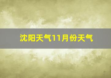 沈阳天气11月份天气