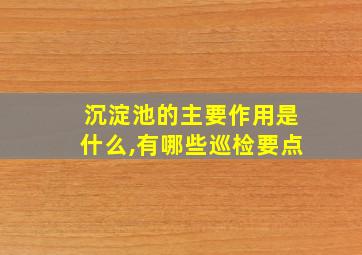 沉淀池的主要作用是什么,有哪些巡检要点