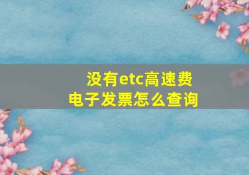 没有etc高速费电子发票怎么查询