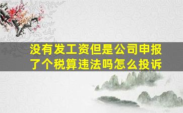 没有发工资但是公司申报了个税算违法吗怎么投诉