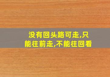 没有回头路可走,只能往前走,不能往回看