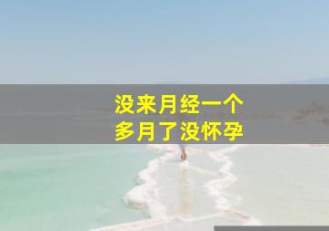 没来月经一个多月了没怀孕