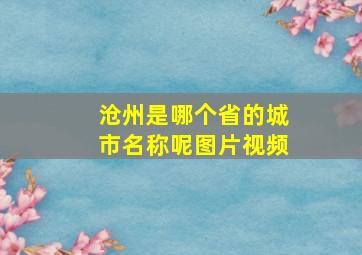 沧州是哪个省的城市名称呢图片视频