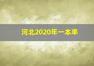 河北2020年一本率