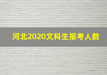 河北2020文科生报考人数