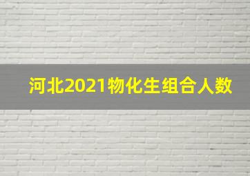 河北2021物化生组合人数