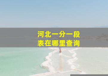 河北一分一段表在哪里查询