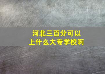 河北三百分可以上什么大专学校啊