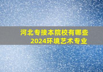 河北专接本院校有哪些2024环境艺术专业