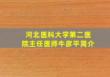 河北医科大学第二医院主任医师牛彦平简介