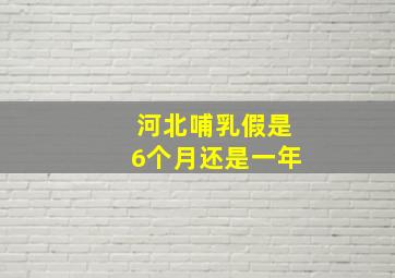 河北哺乳假是6个月还是一年