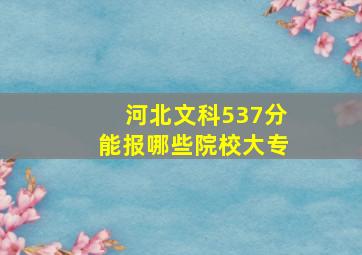 河北文科537分能报哪些院校大专