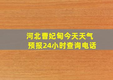 河北曹妃甸今天天气预报24小时查询电话