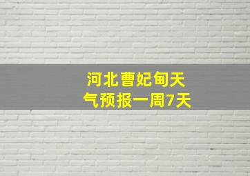 河北曹妃甸天气预报一周7天