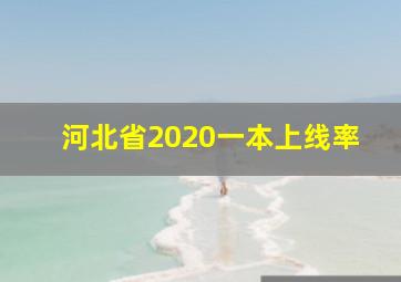 河北省2020一本上线率