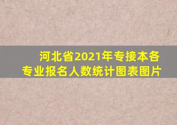 河北省2021年专接本各专业报名人数统计图表图片