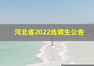 河北省2022选调生公告