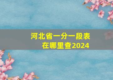 河北省一分一段表在哪里查2024