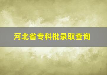 河北省专科批录取查询