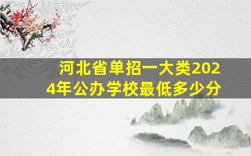 河北省单招一大类2024年公办学校最低多少分