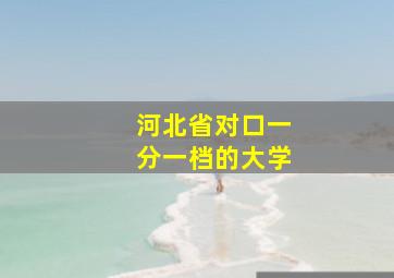 河北省对口一分一档的大学