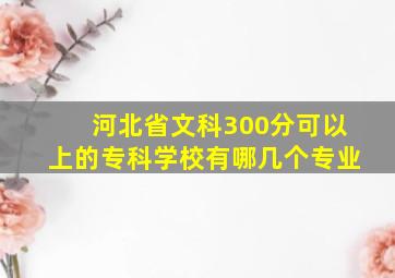 河北省文科300分可以上的专科学校有哪几个专业