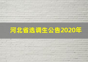 河北省选调生公告2020年