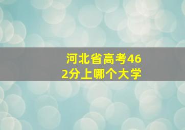 河北省高考462分上哪个大学