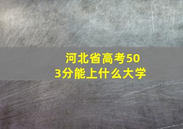 河北省高考503分能上什么大学