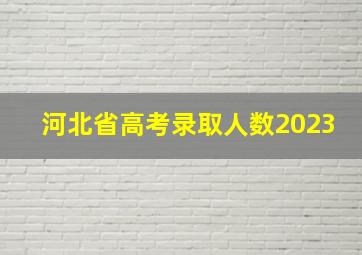 河北省高考录取人数2023