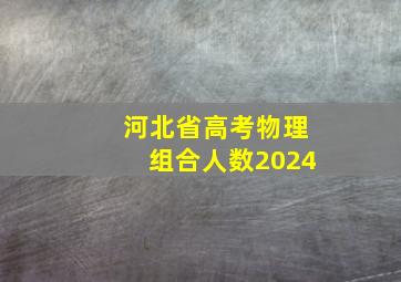 河北省高考物理组合人数2024