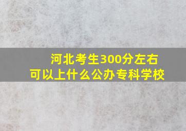 河北考生300分左右可以上什么公办专科学校