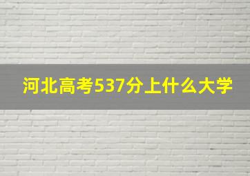 河北高考537分上什么大学