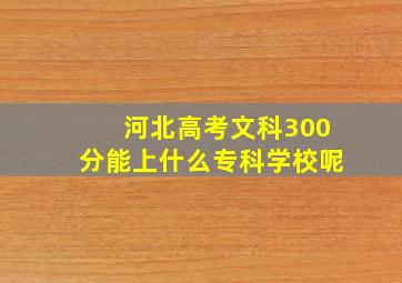 河北高考文科300分能上什么专科学校呢