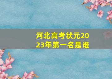 河北高考状元2023年第一名是谁