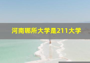 河南哪所大学是211大学