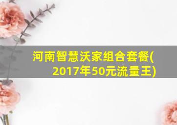 河南智慧沃家组合套餐(2017年50元流量王)