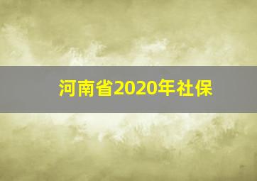 河南省2020年社保