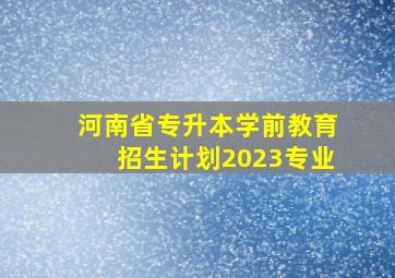 河南省专升本学前教育招生计划2023专业