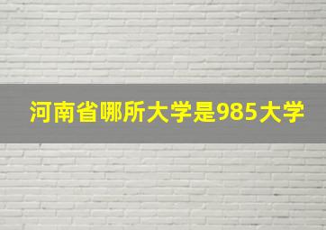 河南省哪所大学是985大学