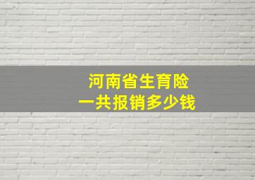 河南省生育险一共报销多少钱