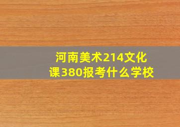 河南美术214文化课380报考什么学校