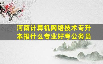 河南计算机网络技术专升本报什么专业好考公务员