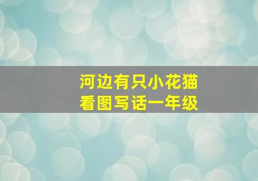 河边有只小花猫看图写话一年级