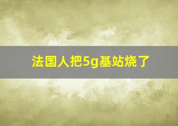 法国人把5g基站烧了