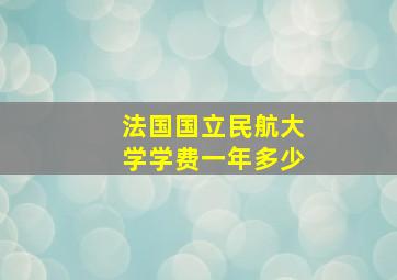 法国国立民航大学学费一年多少